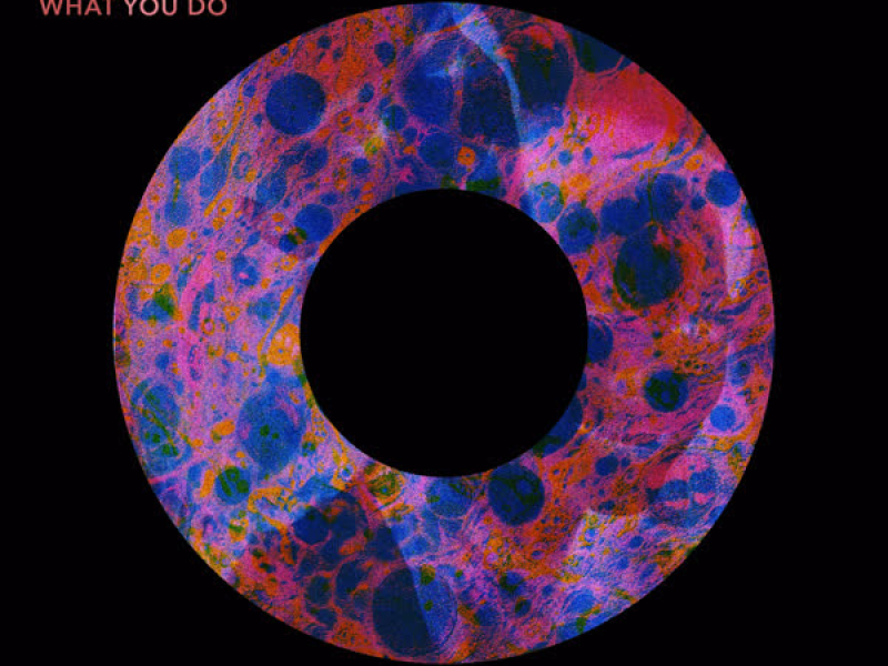 What You Do (EP)