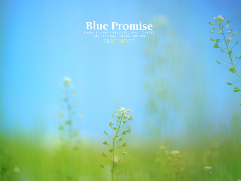 Blue Promise (Single)