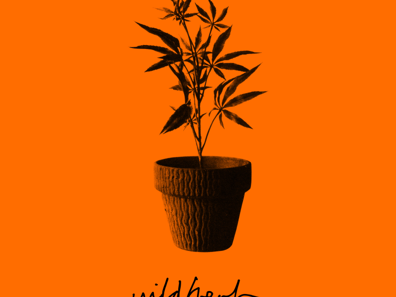 Wild Herb (Single)