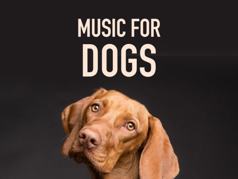 Music for Dogs
