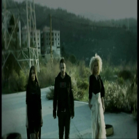 Carisma Collection (Single)