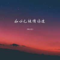 痴心已被情伤透 (EP)