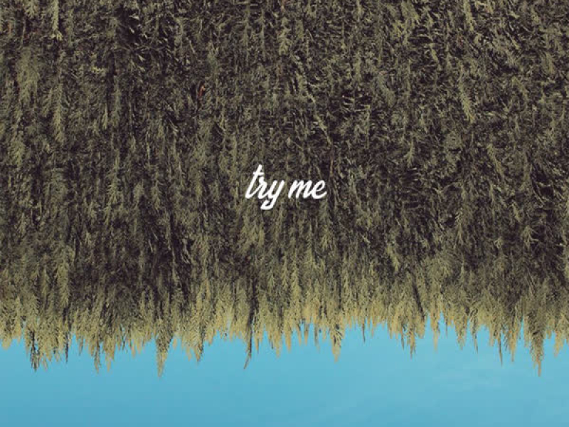 Try Me (Single)