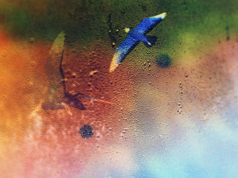 Unfurling (version 2) (EP)