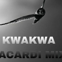KWAKWA BARCADI MIX (feat. Opique Deep) (Single)