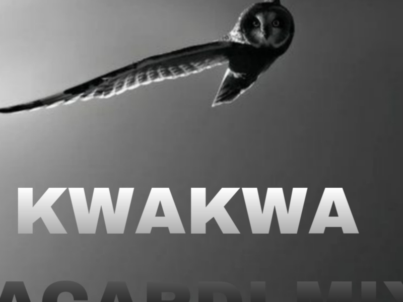 KWAKWA BARCADI MIX (feat. Opique Deep) (Single)