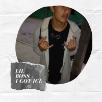 i got ice (Single)