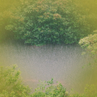 Sound of Summer Rain for Stress Relief and Better Sleep (Single)