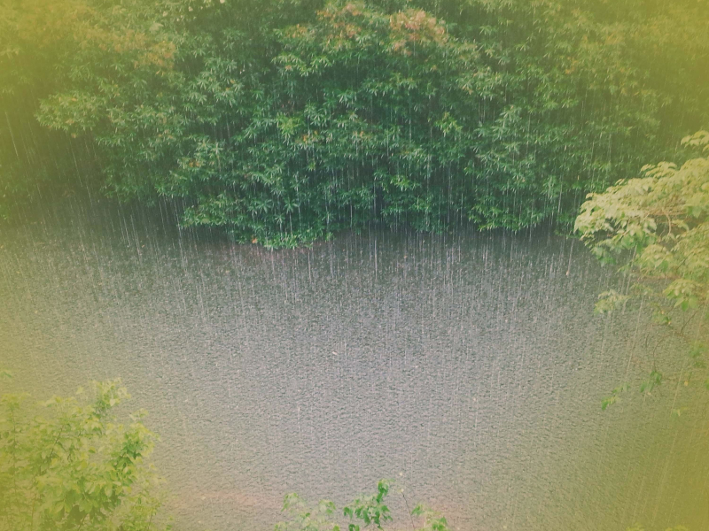 Sound of Summer Rain for Stress Relief and Better Sleep (Single)