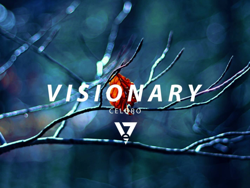 Visionary (Single)