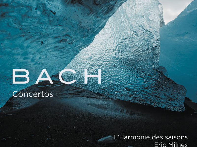 J.S. Bach: Concerto for Oboe, Violín, Strings and Continuo in C Minor, BWV 1060R: III. Allegro (Single)