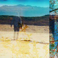 Stay Out Of Place (Single)