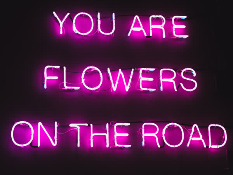 You Are Flowers On The Road (Single)