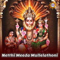 Netthi Meeda Mullelathoni (Single)