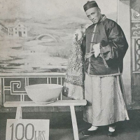 The Night Green Side of It