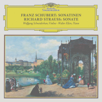Schubert: Violin Sonata in A Major, D. 574; Fantasia in C Major, D. 934; Rondo in B Minor, D. 895 / R. Strauss: Violin Sonata in E-Flat Major, Op. 18 (Remastered 2023)