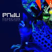 Chameleon (Remixes) (EP)