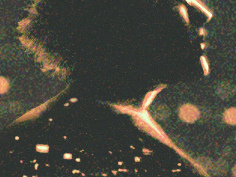 Midnight Alley〈Sanullim's 50th anniversary collaboration album〉 (EP)