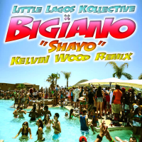 Shayo (Kelvin Wood Remix) (EP)