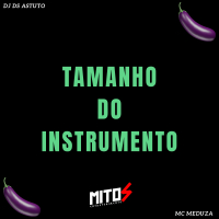 Tamanho do instrumento (Single)