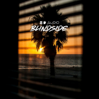 Blindside (Single)