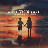 Woke Up in Love (Alok Remix) (Single)