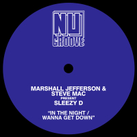 In The Night / Wanna Get Down (Single)