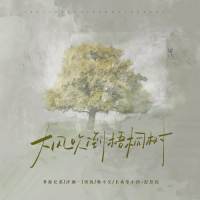 大风吹倒梧桐树 (天赐群星大合唱) (Single)