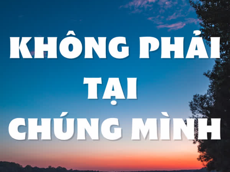 Không Phải Tại Chúng Mình