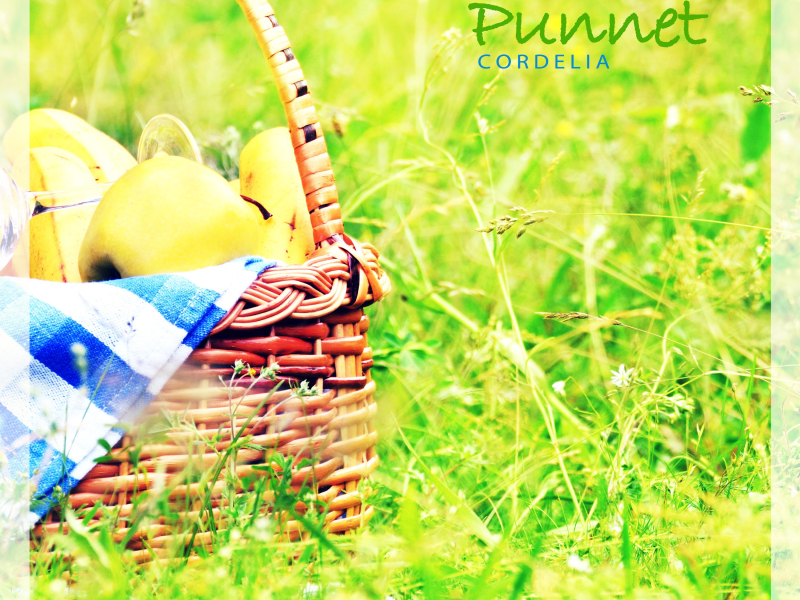 Punnet (Single)