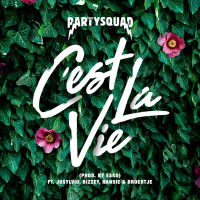 C'est la vie (Single)