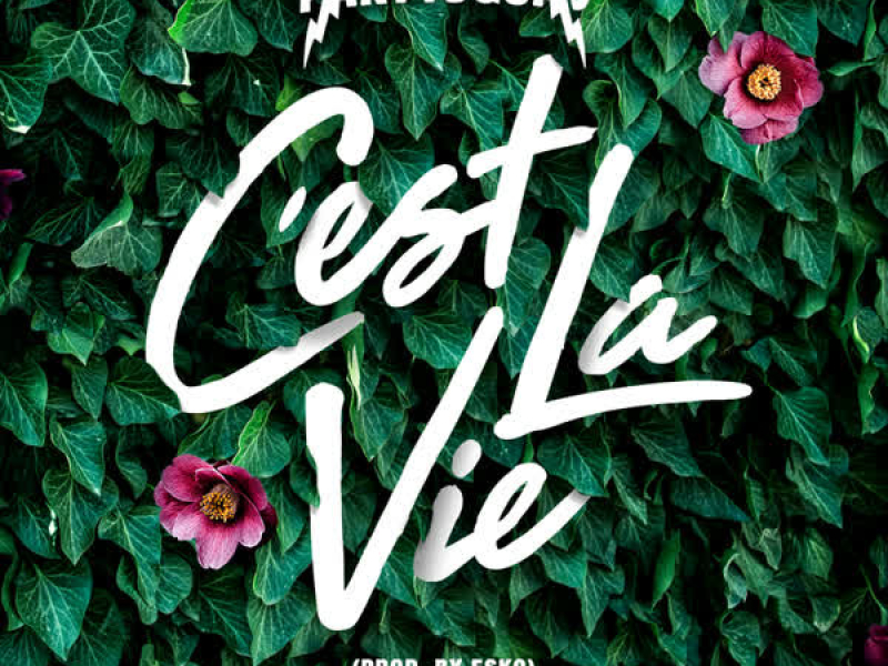 C'est la vie (Single)