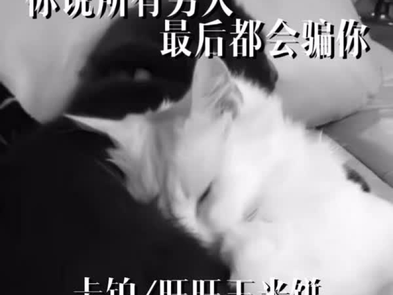 你说所有男人最后都会骗你 (Single)