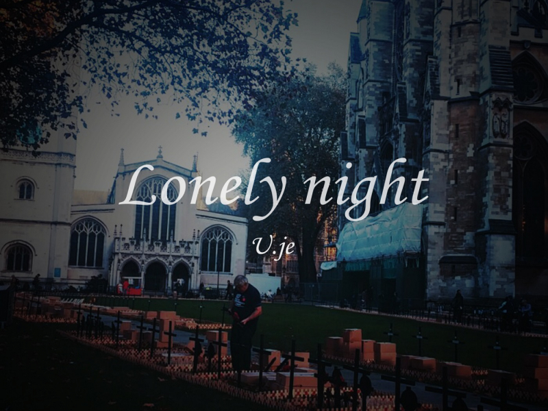 Lonely Night