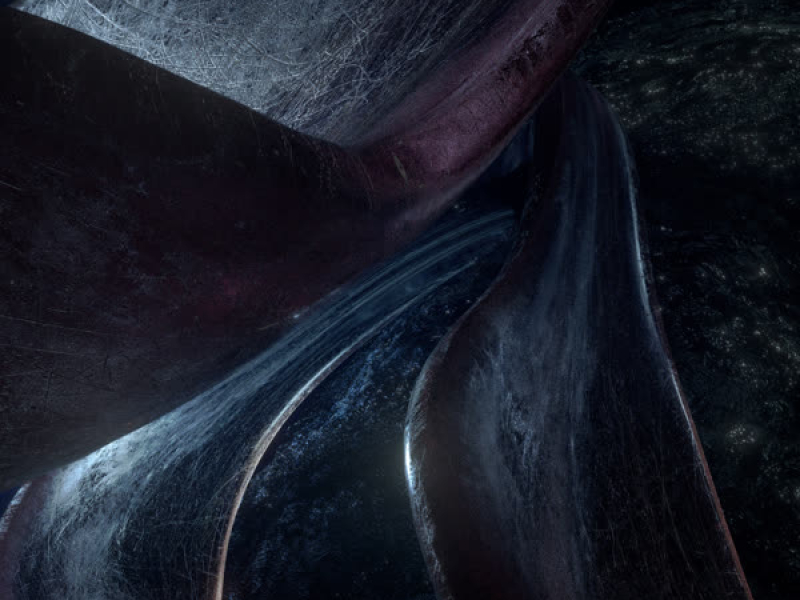 Turtle (Feat. eAeon, Mesani) (Single)