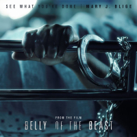 See What You've Done (From The Film Belly Of The Beast) (Single)
