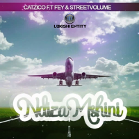 Ndizamshini (Single)