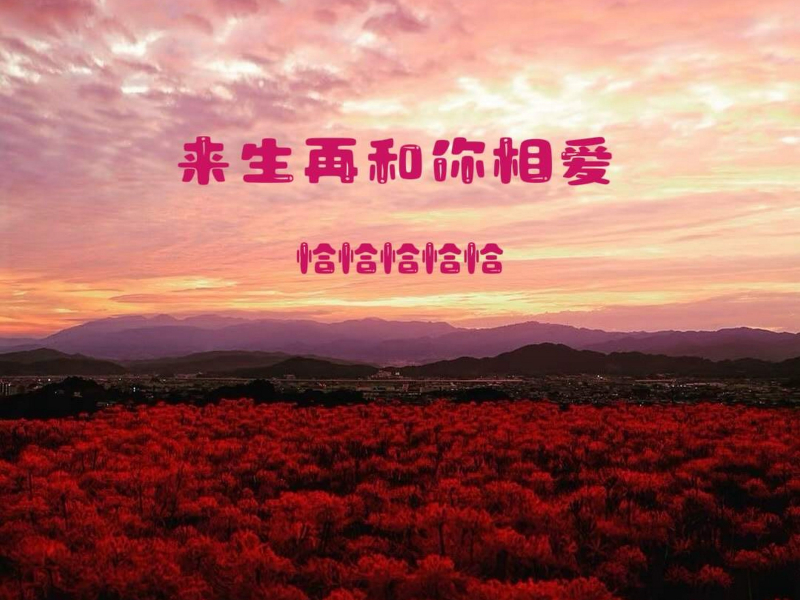 来生再和你相爱 (女版) (Single)