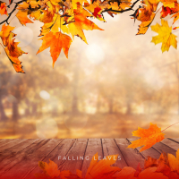 Falling Leaves (Single)