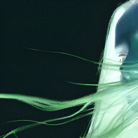 Not In Your Nature (EP)