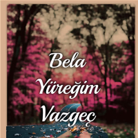 Yüreğim Vazgeç (Single)