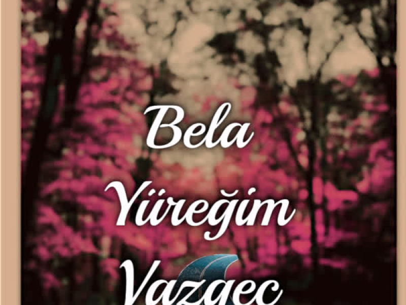 Yüreğim Vazgeç (Single)