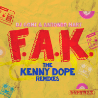 F.A.K. (The Kenny Dope Remixes) (EP)