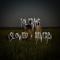 tolerans (slowed + reverb) (Single)