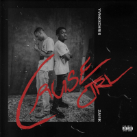 cruise ctrl (Single)