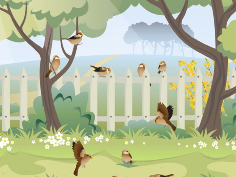 Garden Play (Single)