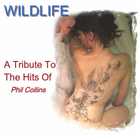 A Tribute to the Hits of Phil Collins