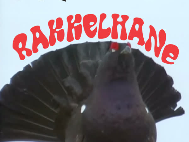 Rakkelhane (Single)