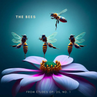 The Bees from Etudes, Op. 25, No. 1 (Single)