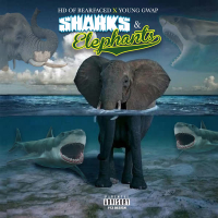 Sharks & Elephants